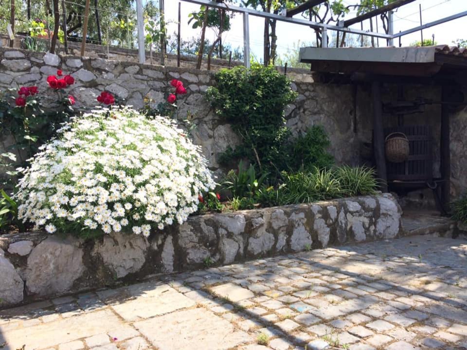 カーヴァ・デ・ティッレーニ La Torretta Bianca Bed & Breakfast エクステリア 写真